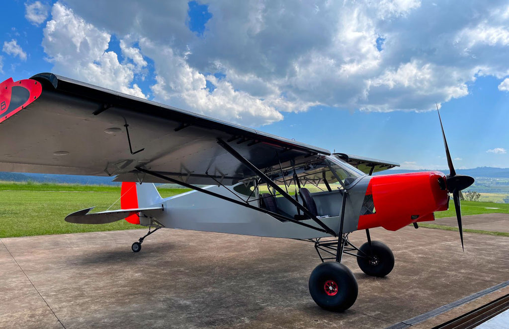 2020 Savage Shock Cub Airplane Aircraft For Sale in South Africa